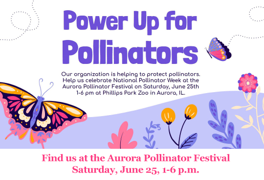 Power Up for Pollinators graphic

